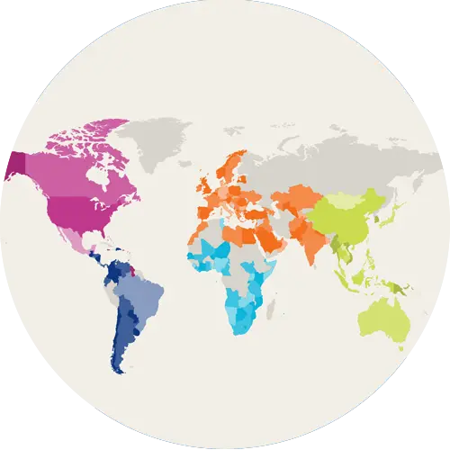 Global expertise with local knowledge